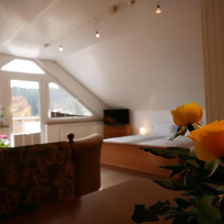 Uhren Allgaier Apartment *
