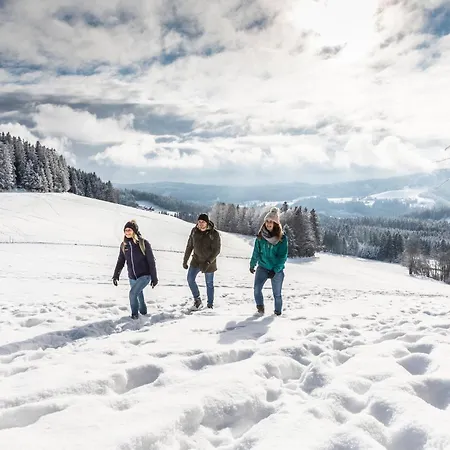 Uhren Allgaier Schoenwald im Schwarzwald