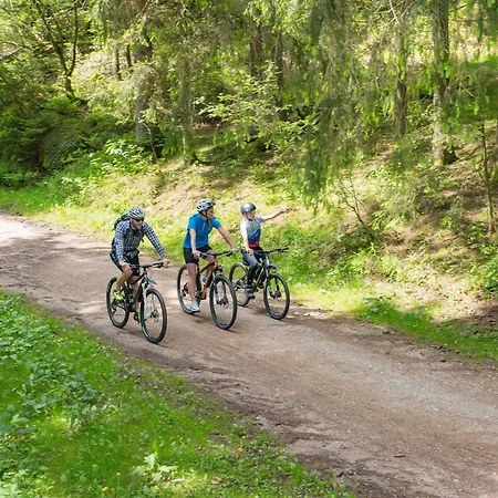 Uhren Allgaier Schoenwald im Schwarzwald