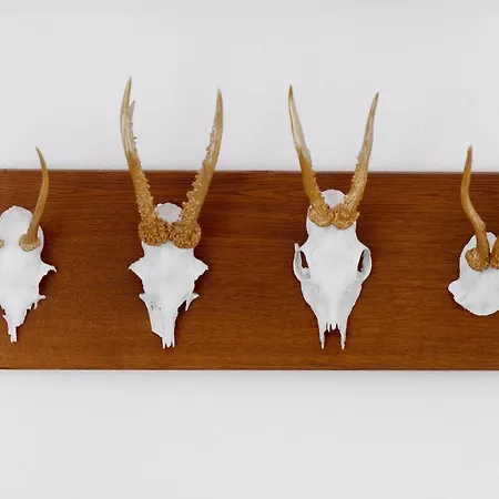 Apartment Uhren Allgaier *